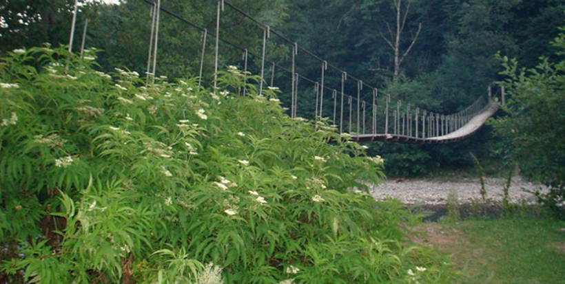 image01