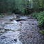 image24